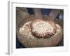 Woman Holding Handfuls of Grain, Soddo, Ethiopia, Africa-D H Webster-Framed Photographic Print