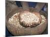 Woman Holding Handfuls of Grain, Soddo, Ethiopia, Africa-D H Webster-Mounted Photographic Print