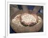 Woman Holding Handfuls of Grain, Soddo, Ethiopia, Africa-D H Webster-Framed Photographic Print