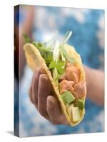 Woman Holding Taco-null-Stretched Canvas