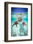 Woman holding two red starfish snorkeling in the turquoise sea in summer, Zanzibar, Tanzania-Roberto Moiola-Framed Photographic Print