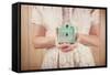 Woman Holding Vintage Mint Green Camera. Instagram Effect.-soupstock-Framed Stretched Canvas