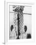 Woman Holds on Large Northern Pike on a Lake Pier, Ca. 1950-null-Framed Photographic Print