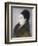 Woman in a Fur Coat in Profile, 1879-Edouard Manet-Framed Giclee Print