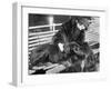 Woman in a Fur Coat Sitting on a Bench Petting Her Dog-null-Framed Photo