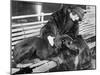 Woman in a Fur Coat Sitting on a Bench Petting Her Dog-null-Mounted Photo