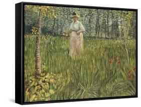 Woman in a Garden, 1887-Vincent van Gogh-Framed Stretched Canvas