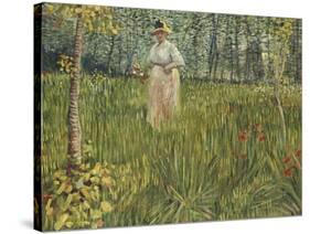 Woman in a Garden, 1887-Vincent van Gogh-Stretched Canvas