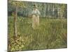 Woman in a Garden, 1887-Vincent van Gogh-Mounted Giclee Print