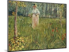 Woman in a Garden (Femme Dans Un Jardin), 1887-Vincent van Gogh-Mounted Giclee Print