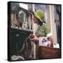 Woman in a Green Floppy Hat and Green Dress Browses in a Shop Selling Various Mirrors and Ornaments-null-Stretched Canvas