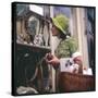 Woman in a Green Floppy Hat and Green Dress Browses in a Shop Selling Various Mirrors and Ornaments-null-Stretched Canvas