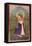 Woman in a Green Landscape-Mark Briscoe-Framed Stretched Canvas