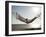 Woman in a Hammock on the Beach, Florida, United States of America, North America-Angelo Cavalli-Framed Photographic Print