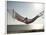 Woman in a Hammock on the Beach, Florida, United States of America, North America-Angelo Cavalli-Framed Photographic Print