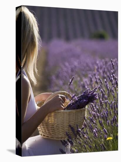 Woman in a Lavender Field, Provence, France, Europe-Angelo Cavalli-Stretched Canvas