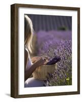 Woman in a Lavender Field, Provence, France, Europe-Angelo Cavalli-Framed Photographic Print