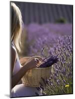 Woman in a Lavender Field, Provence, France, Europe-Angelo Cavalli-Mounted Photographic Print