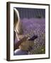 Woman in a Lavender Field, Provence, France, Europe-Angelo Cavalli-Framed Photographic Print
