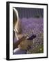 Woman in a Lavender Field, Provence, France, Europe-Angelo Cavalli-Framed Photographic Print