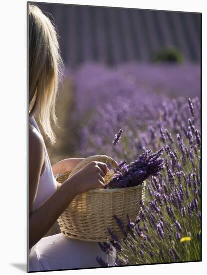 Woman in a Lavender Field, Provence, France, Europe-Angelo Cavalli-Mounted Photographic Print