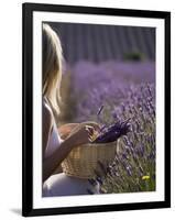 Woman in a Lavender Field, Provence, France, Europe-Angelo Cavalli-Framed Photographic Print