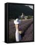 Woman in a Lavender Field, Senanque Abbey, Gordes, Provence, France, Europe-Angelo Cavalli-Framed Stretched Canvas