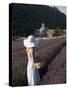 Woman in a Lavender Field, Senanque Abbey, Gordes, Provence, France, Europe-Angelo Cavalli-Stretched Canvas