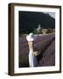 Woman in a Lavender Field, Senanque Abbey, Gordes, Provence, France, Europe-Angelo Cavalli-Framed Photographic Print