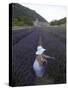 Woman in a Lavender Field, Senanque Abbey, Gordes, Provence, France, Europe-Angelo Cavalli-Stretched Canvas