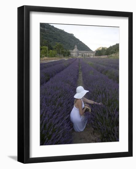 Woman in a Lavender Field, Senanque Abbey, Gordes, Provence, France, Europe-Angelo Cavalli-Framed Photographic Print