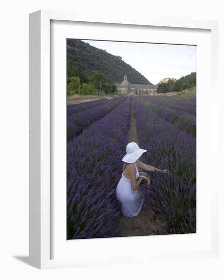 Woman in a Lavender Field, Senanque Abbey, Gordes, Provence, France, Europe-Angelo Cavalli-Framed Photographic Print