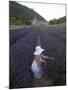 Woman in a Lavender Field, Senanque Abbey, Gordes, Provence, France, Europe-Angelo Cavalli-Mounted Photographic Print