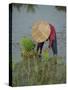 Woman in a Straw Hat Planting Out Rice, Bali, Indonesia, Southeast Asia-Gavin Hellier-Stretched Canvas