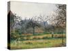 Woman in an Orchard, Autumn Morning, Garden at Eragny-Camille Pissarro-Stretched Canvas