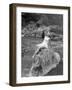 Woman in Bathing Costume-Philip Gendreau-Framed Photographic Print