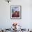 Woman in Costume For the Annual Carnival Festival, Burano Island, Venice, Italy-Jim Zuckerman-Framed Photographic Print displayed on a wall