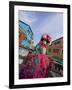 Woman in Costume For the Annual Carnival Festival, Burano Island, Venice, Italy-Jim Zuckerman-Framed Photographic Print