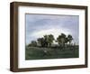 Woman in Country Field, C1828-1876-Narcisse Virgile Diaz de la Pena-Framed Giclee Print