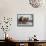 Woman in Flamenco Dress in Parade at Feria de Abril, Sevilla, Spain-Merrill Images-Framed Stretched Canvas displayed on a wall