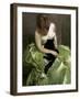 Woman in Green Dress with Black Cat-John White Alexander-Framed Giclee Print