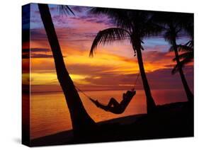 Woman in Hammock, and Palm Trees at Sunset, Coral Coast, Viti Levu, Fiji, South Pacific-David Wall-Stretched Canvas