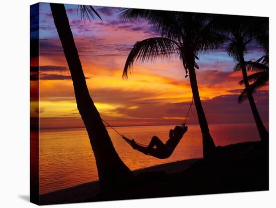 Woman in Hammock, and Palm Trees at Sunset, Coral Coast, Viti Levu, Fiji, South Pacific-David Wall-Stretched Canvas