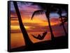 Woman in Hammock, and Palm Trees at Sunset, Coral Coast, Viti Levu, Fiji, South Pacific-David Wall-Framed Stretched Canvas