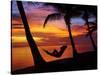 Woman in Hammock, and Palm Trees at Sunset, Coral Coast, Viti Levu, Fiji, South Pacific-David Wall-Stretched Canvas