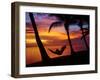 Woman in Hammock, and Palm Trees at Sunset, Coral Coast, Viti Levu, Fiji, South Pacific-David Wall-Framed Premium Photographic Print