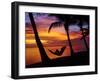 Woman in Hammock, and Palm Trees at Sunset, Coral Coast, Viti Levu, Fiji, South Pacific-David Wall-Framed Premium Photographic Print