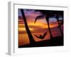 Woman in Hammock, and Palm Trees at Sunset, Coral Coast, Viti Levu, Fiji, South Pacific-David Wall-Framed Premium Photographic Print