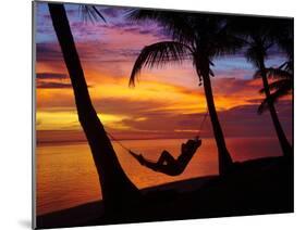 Woman in Hammock, and Palm Trees at Sunset, Coral Coast, Viti Levu, Fiji, South Pacific-David Wall-Mounted Photographic Print