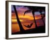 Woman in Hammock, and Palm Trees at Sunset, Coral Coast, Viti Levu, Fiji, South Pacific-David Wall-Framed Photographic Print